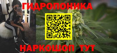 прущая мука Вязьма
