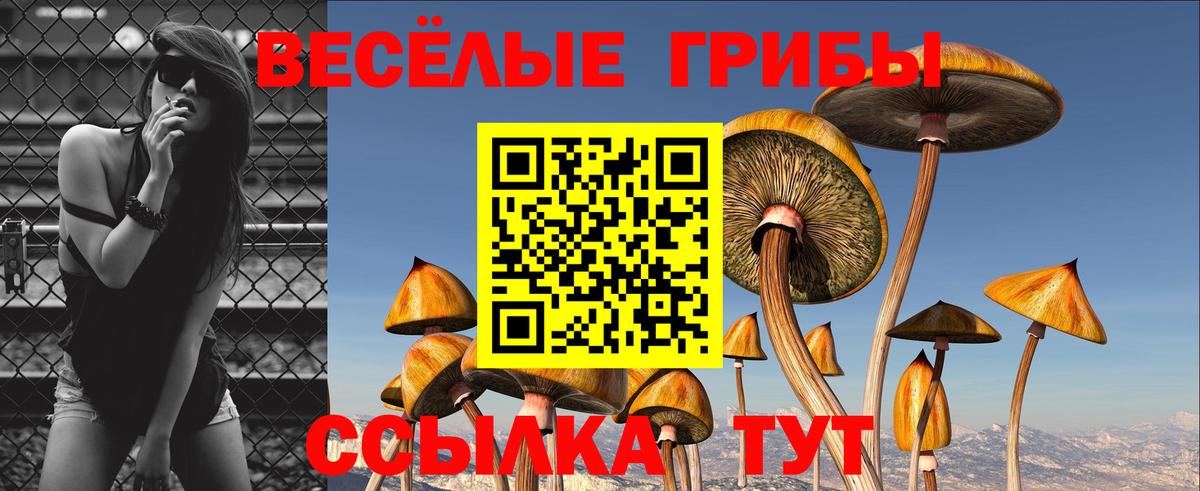 Родники  Псилоцибиновые грибы прущие грибы  как найти закладки  Вход с VPN 